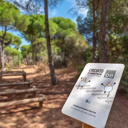 호텔 Ap Adriana 알부페이라