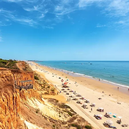 Ap Adriana 알부페이라