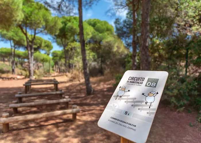 Отель Ap Adriana Албуфейра